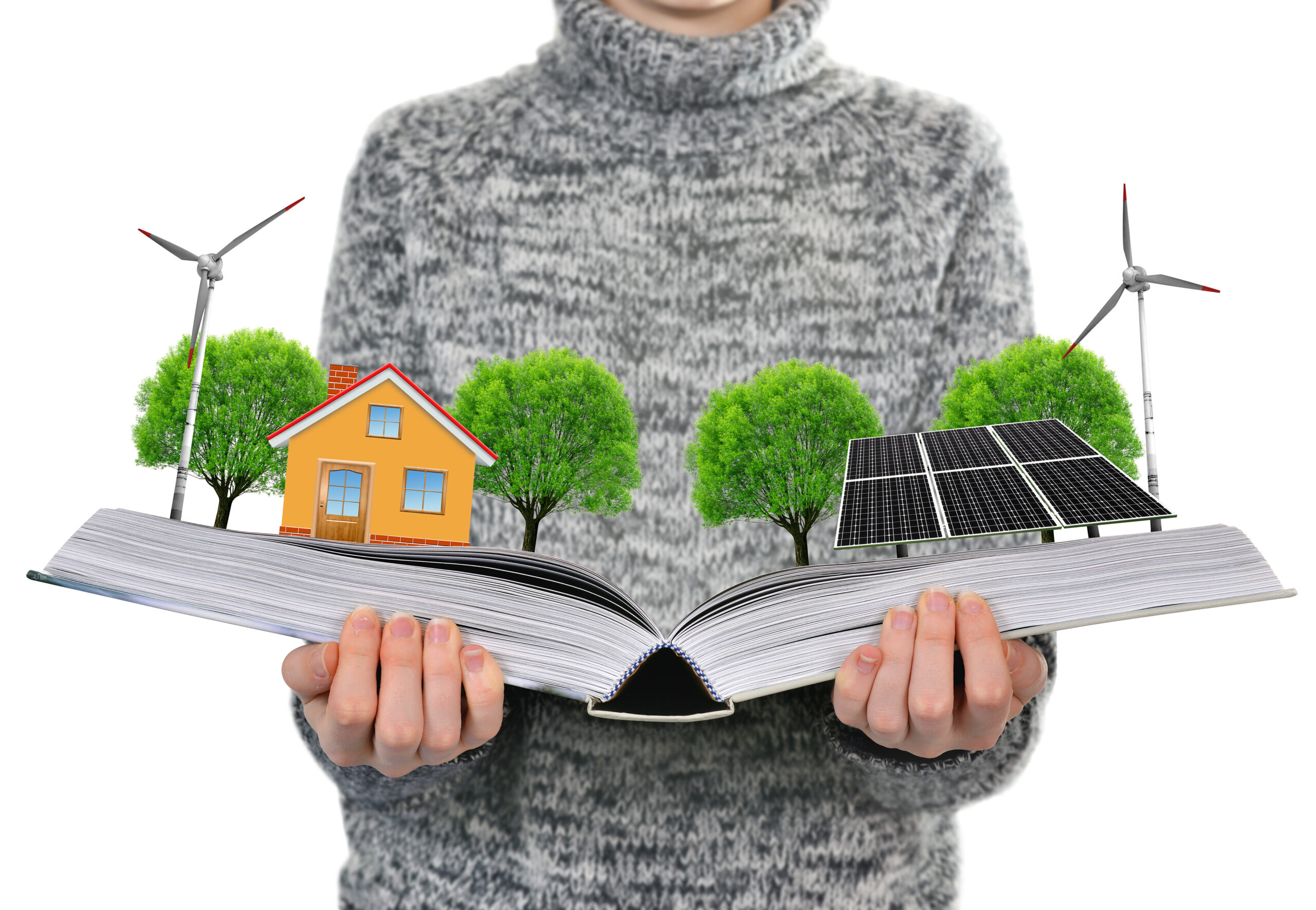 Aprender a decir no, una tarea posible