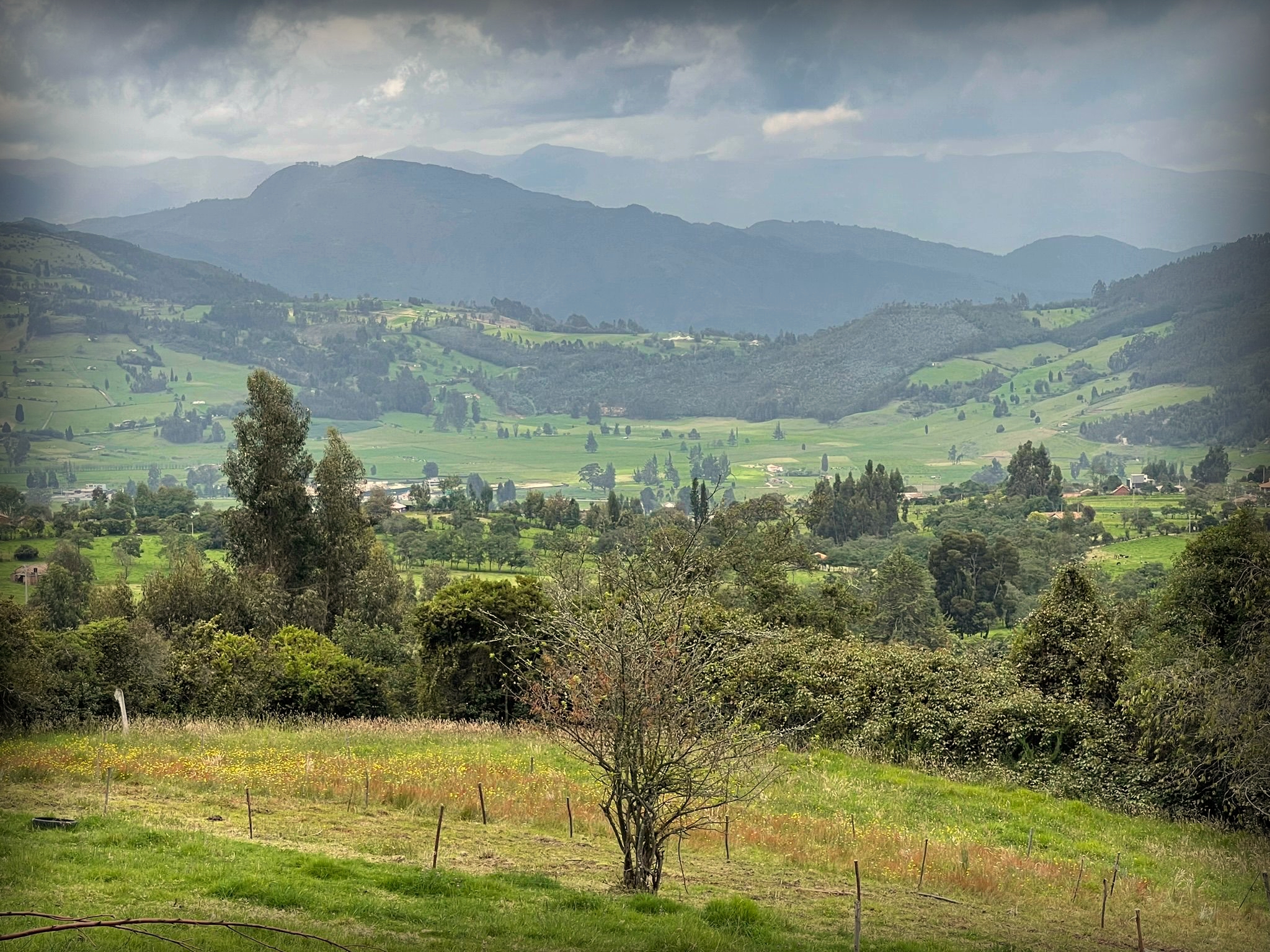 En Colombia se respira aire puro y la gente te llena de amor